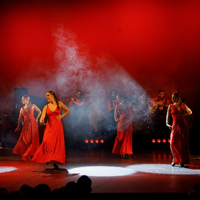 Shows / Artist Barcelona Flamenco Ballet in Barcelona CT